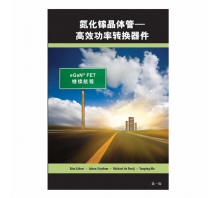 GAN FET BOOK SIMPLIFIED CHINESE VERSION kép